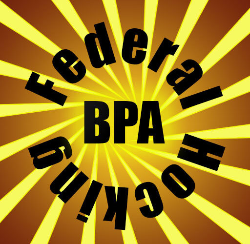 BPA Region 2 Awards Ceremony Live Stream